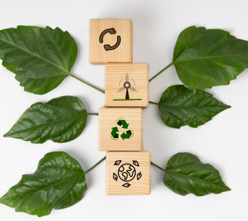 Taxonomía verde - Álvarez San Miguel