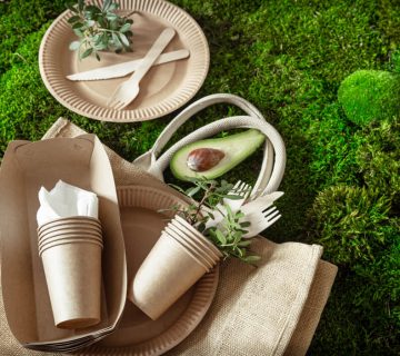 Material biodegradable - Álvarez San Miguel