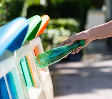 Reciclaje primario - Álvarez San Miguel