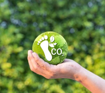 Huella de carbono invisible - Álvarez San Miguel