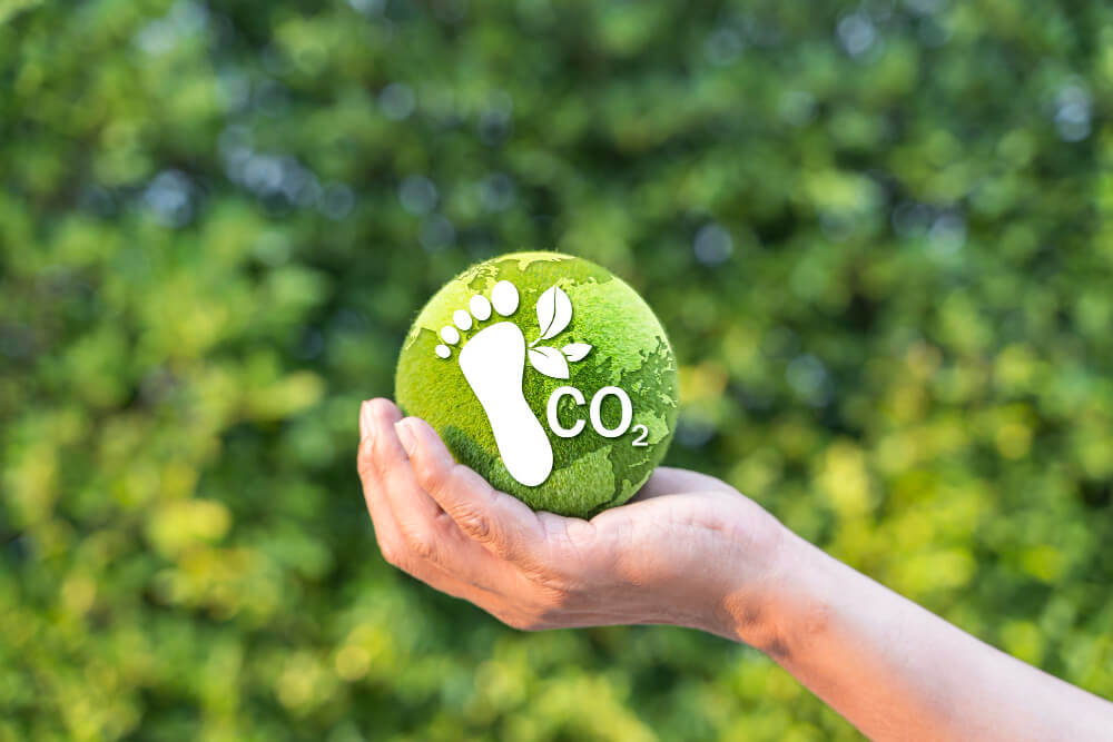 Huella de carbono invisible - Álvarez San Miguel